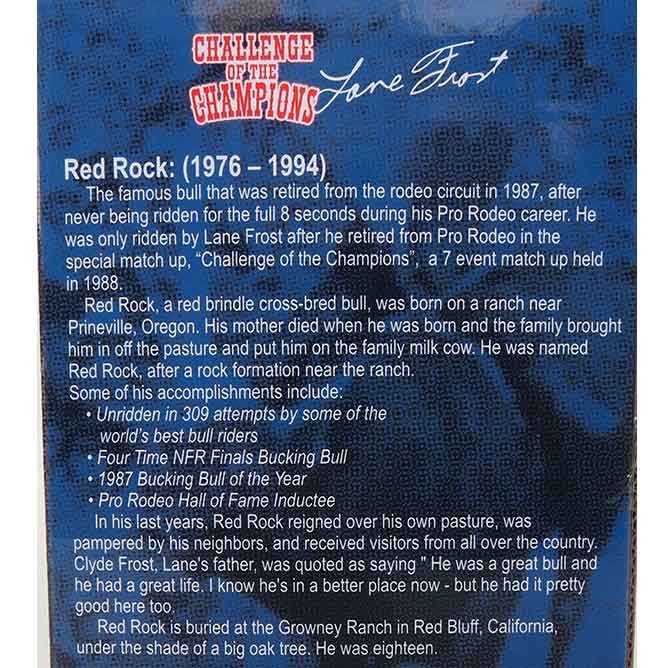 1/20 Lane Frost and Red Rock - Image 6
