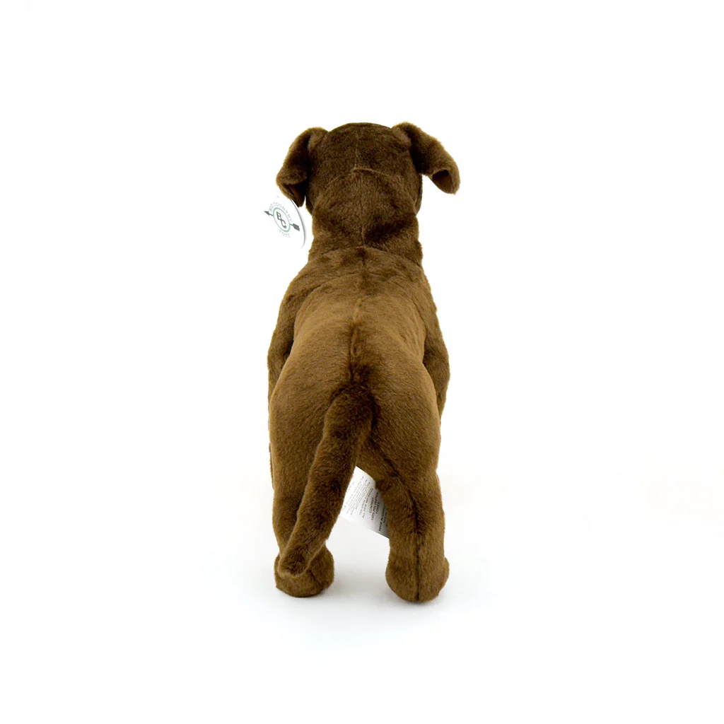 14" Chocolate Lab Plush Dog by Big Country - Image 5