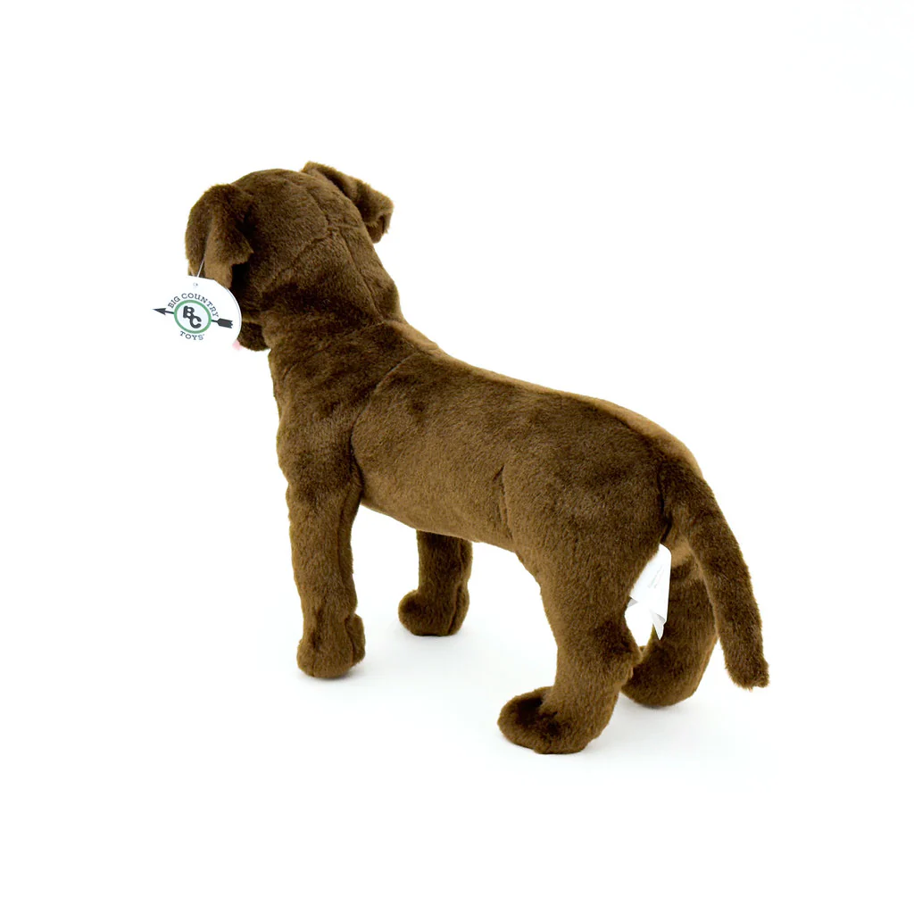 14" Chocolate Lab Plush Dog by Big Country - Image 6