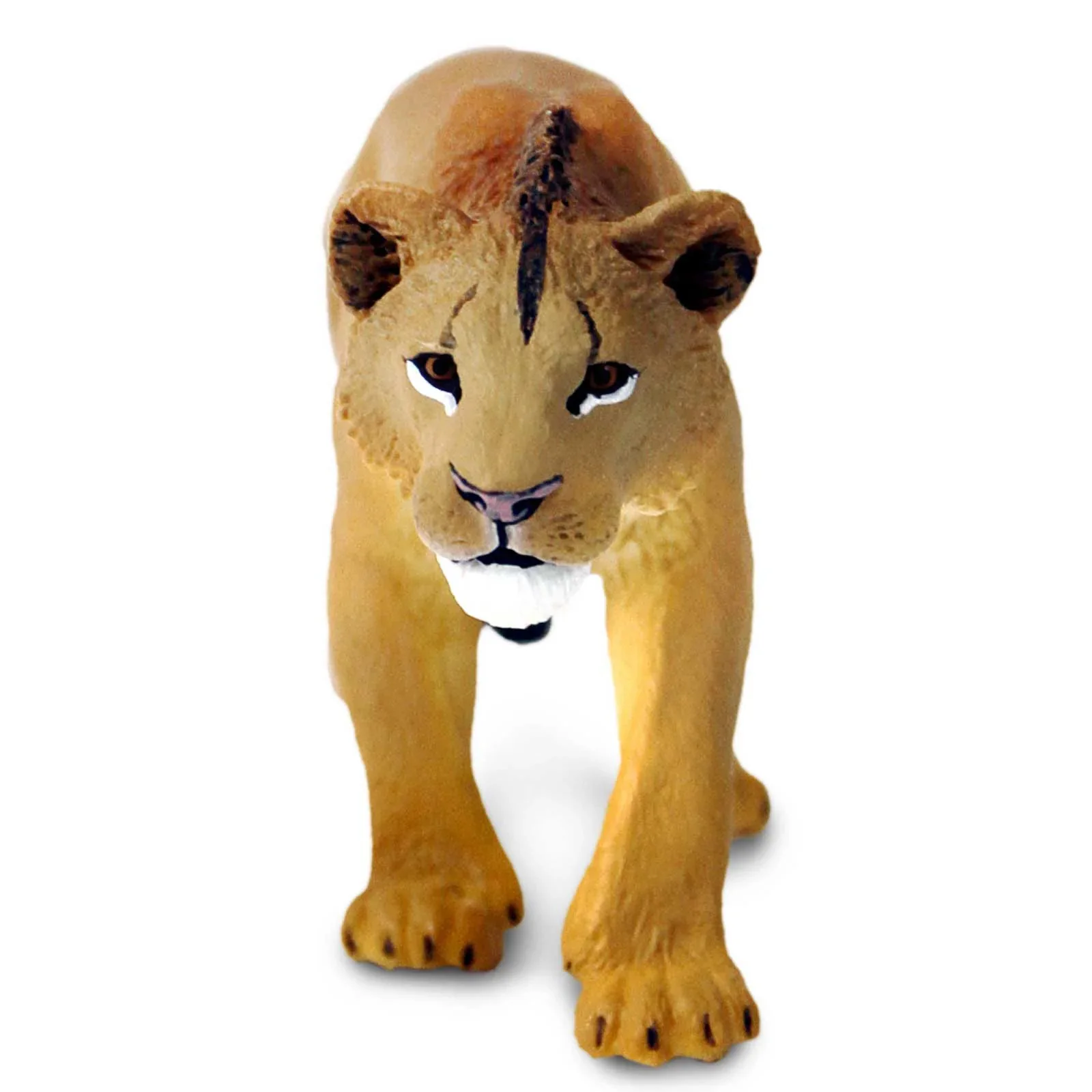 Adolescent Male Lion by Safari - Image 4