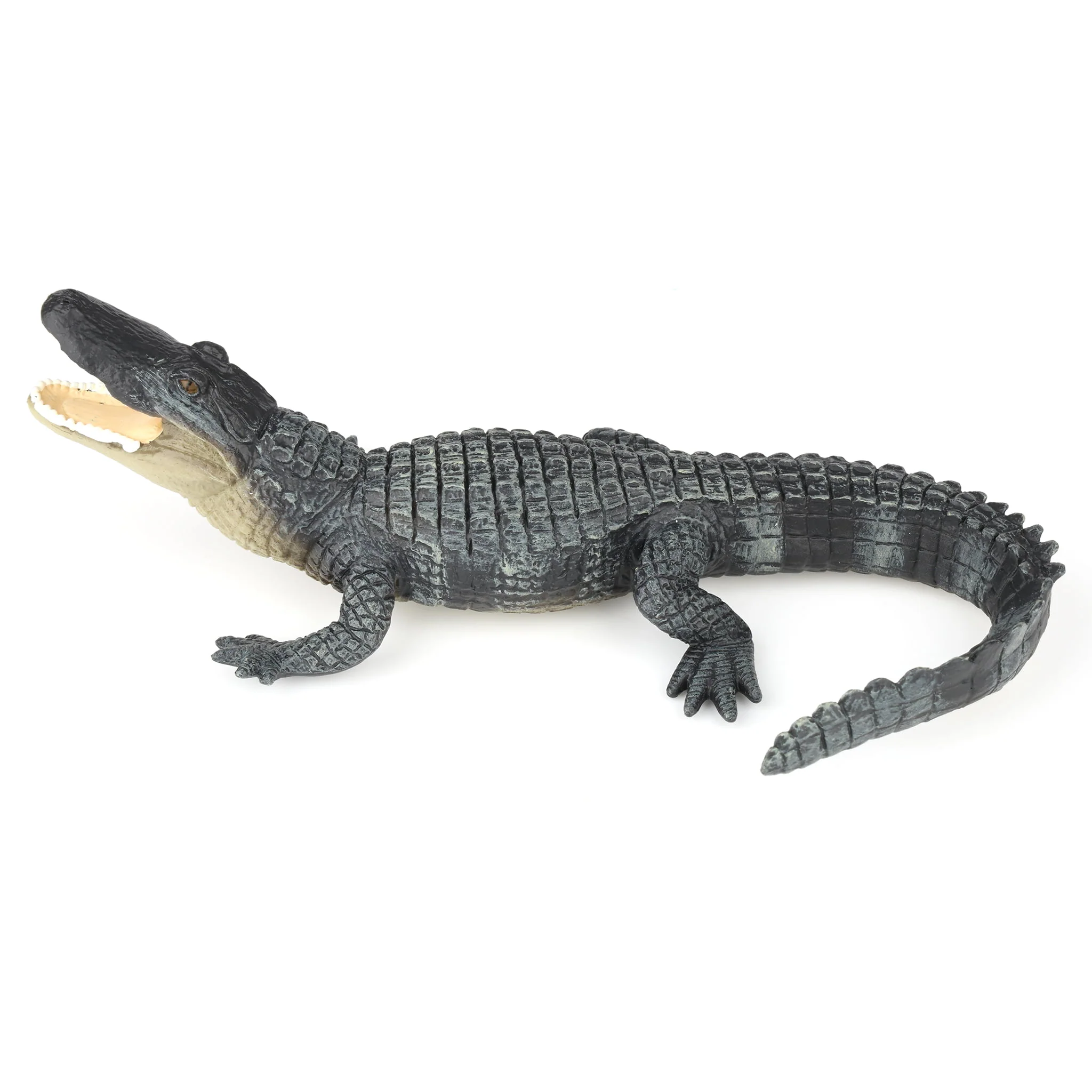 Alligator by Safari - Image 2