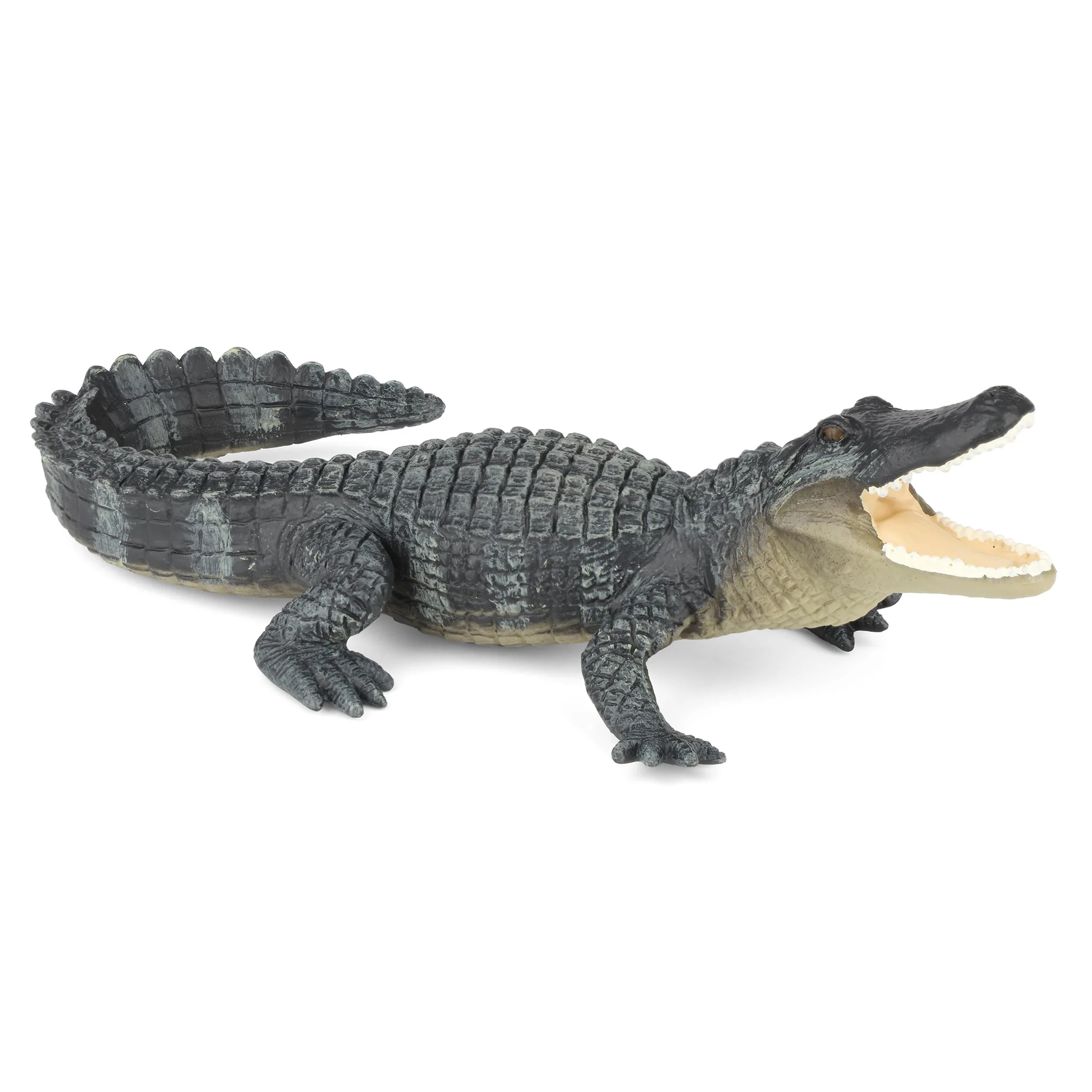 Alligator by Safari - Image 3