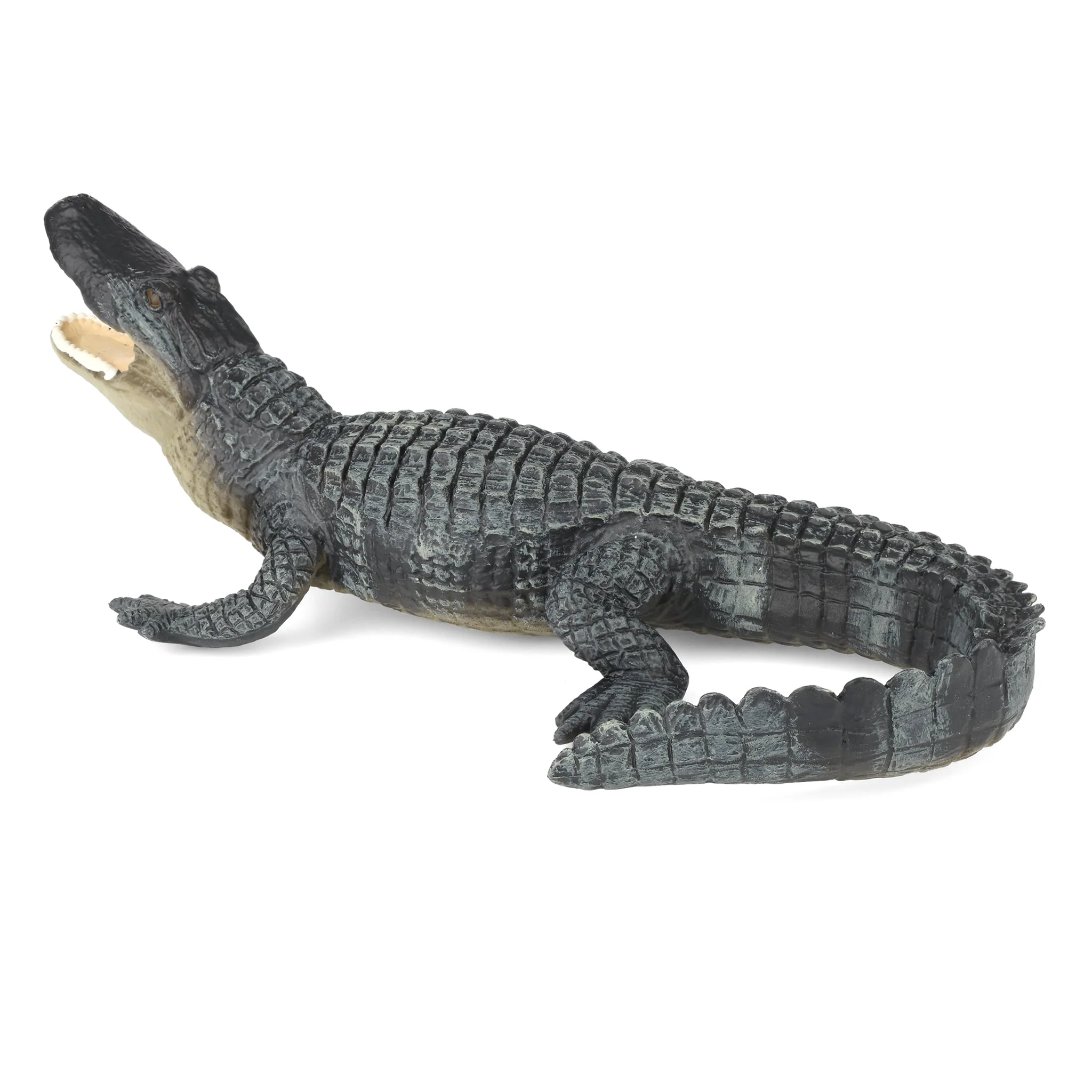 Alligator by Safari - Image 5