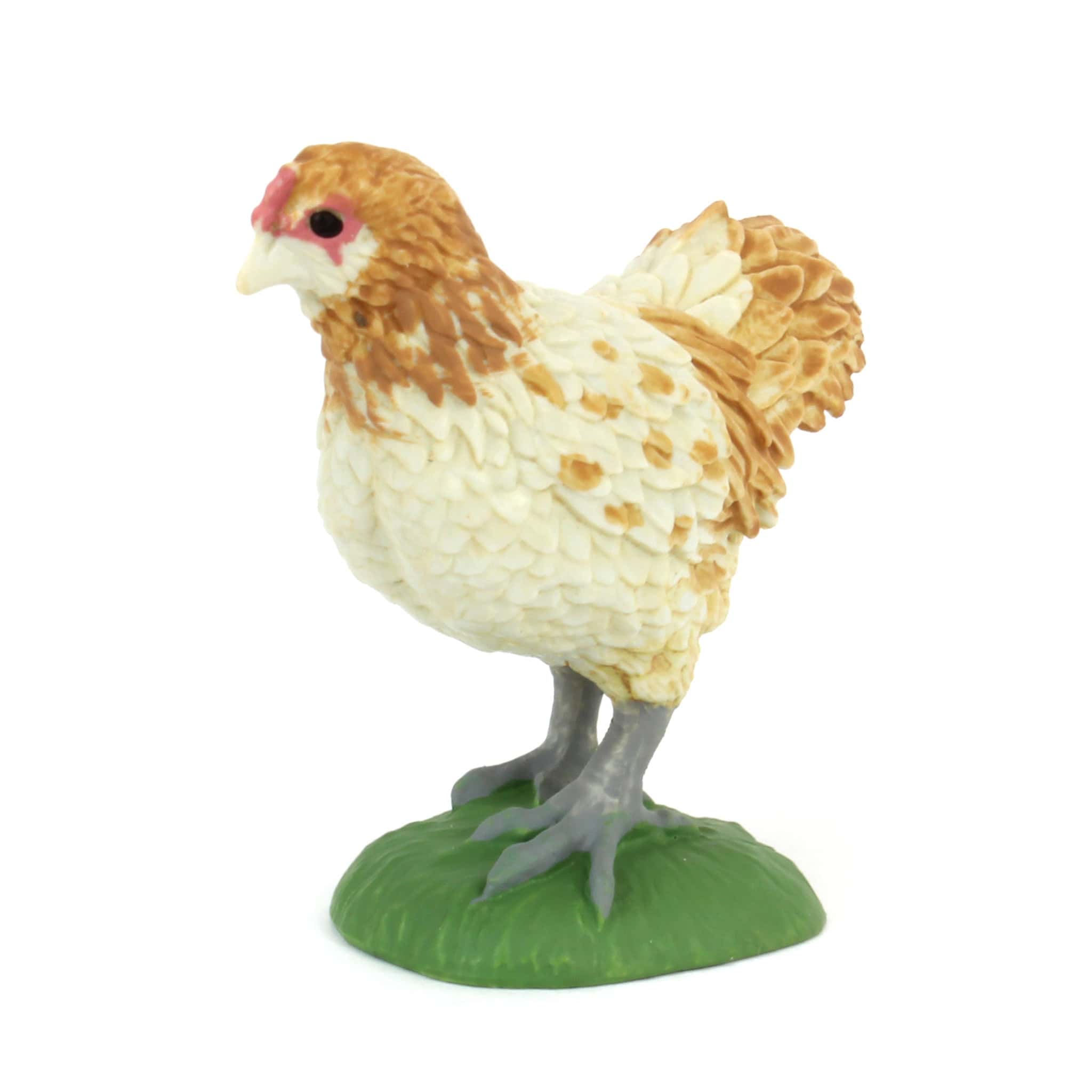 Ameraucana Chicken by Safari - Image 2