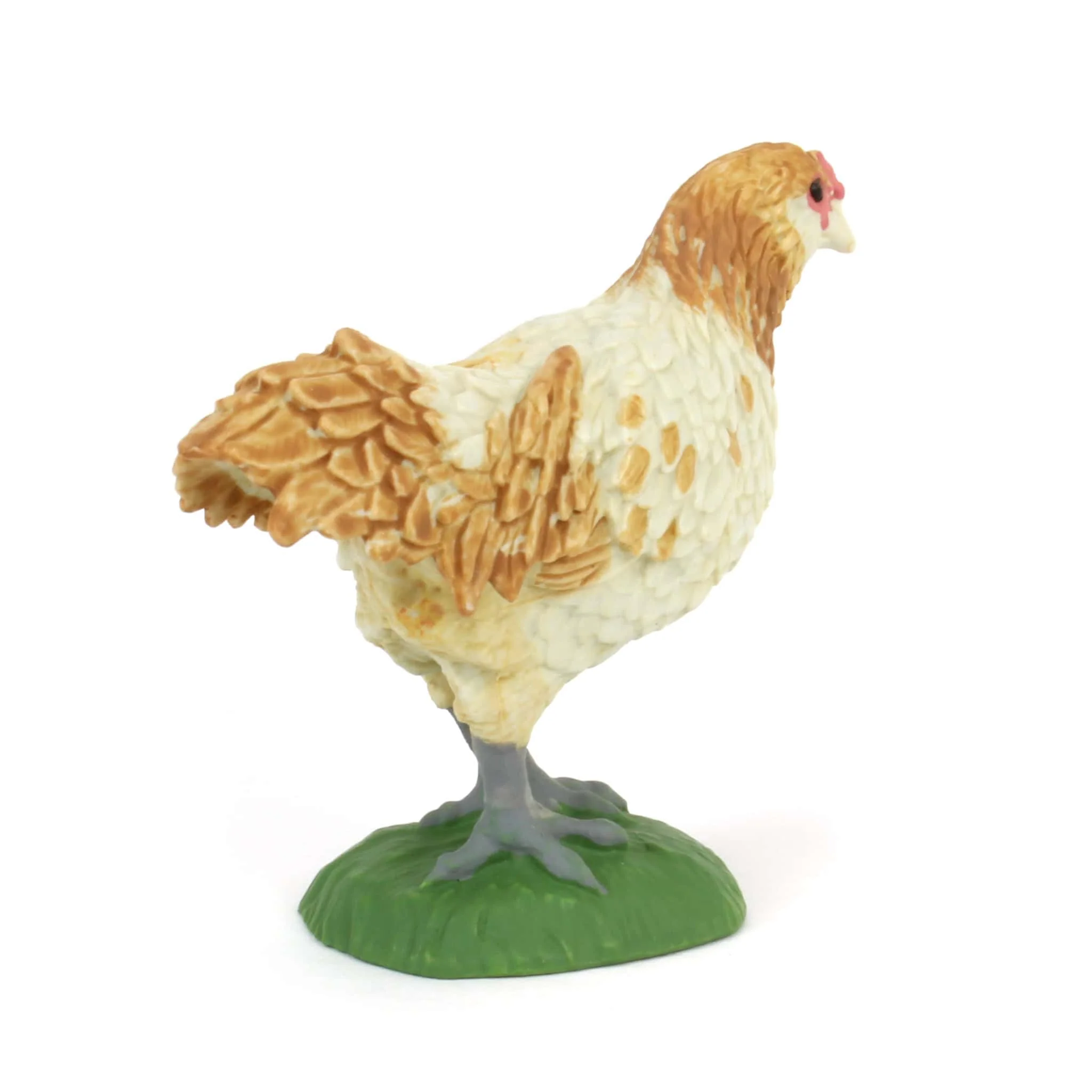 Ameraucana Chicken by Safari - Image 3