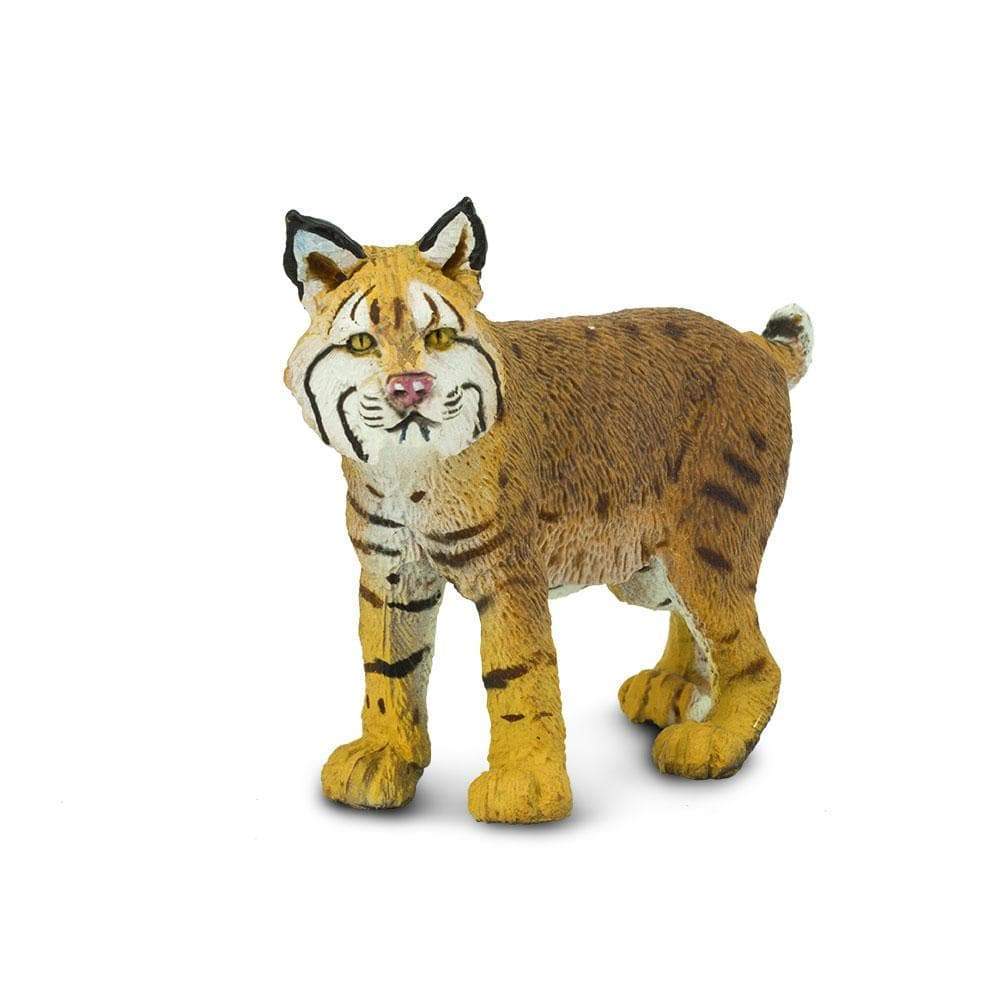 American Bobcat by Safari Ltd - Image 2