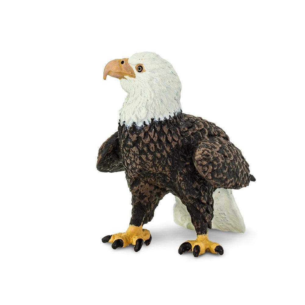 Bald Eagle by Safari - Image 3