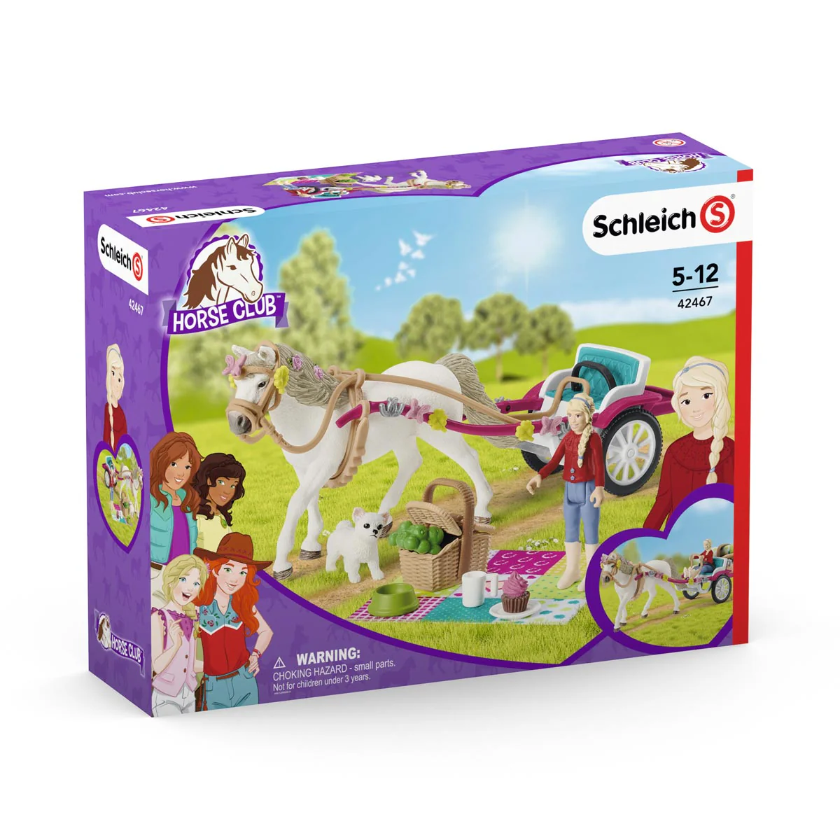 Carriage Ride with Picnic by Schleich - Image 5