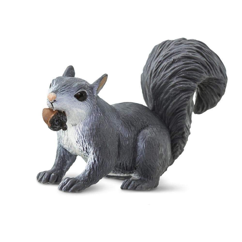 Gray Squirrel by Safari - Image 4
