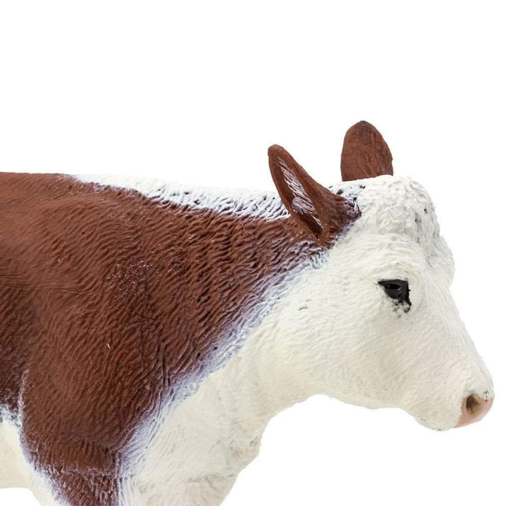 Hereford Cow by Safari - Image 3