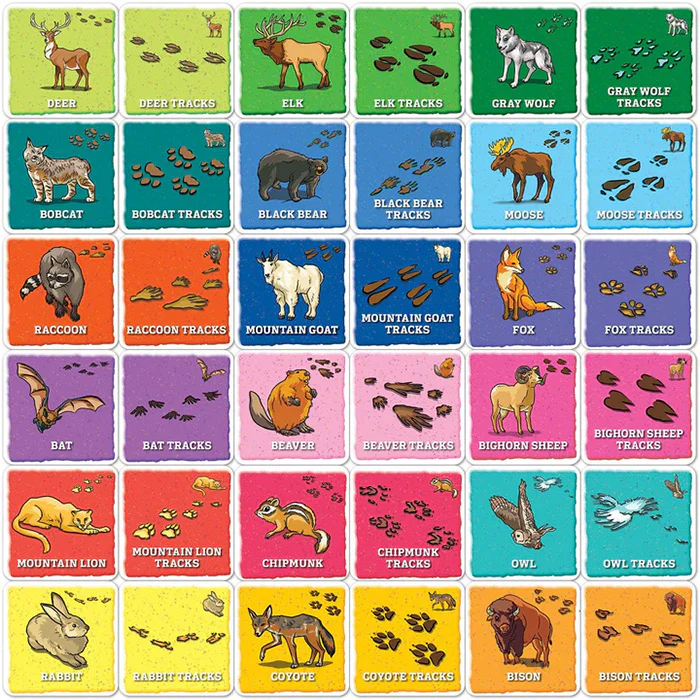Junior Ranger Animal Tracks Matching Game - Image 2