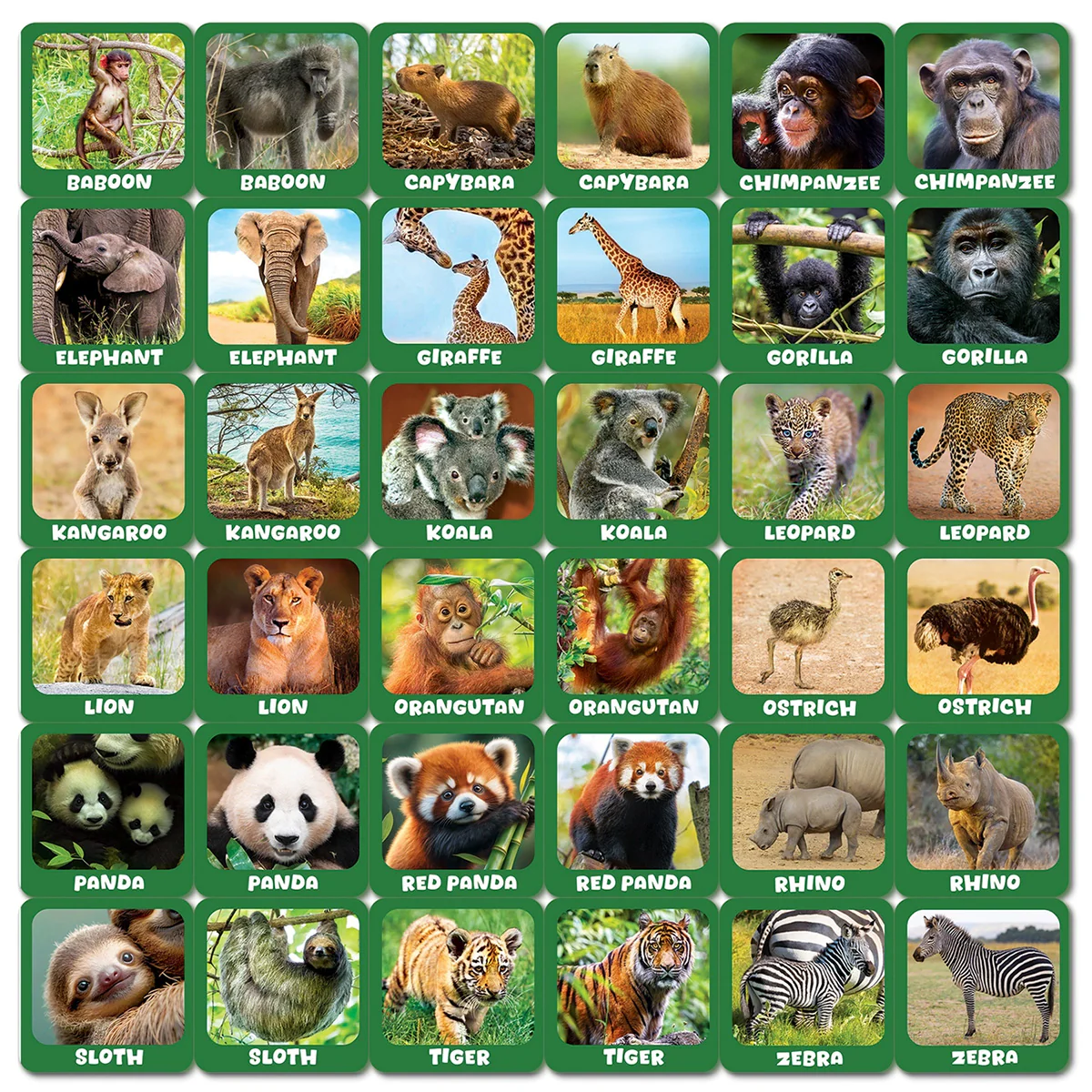 Junior Zookeeper Animal Babies Matching Game - Image 2