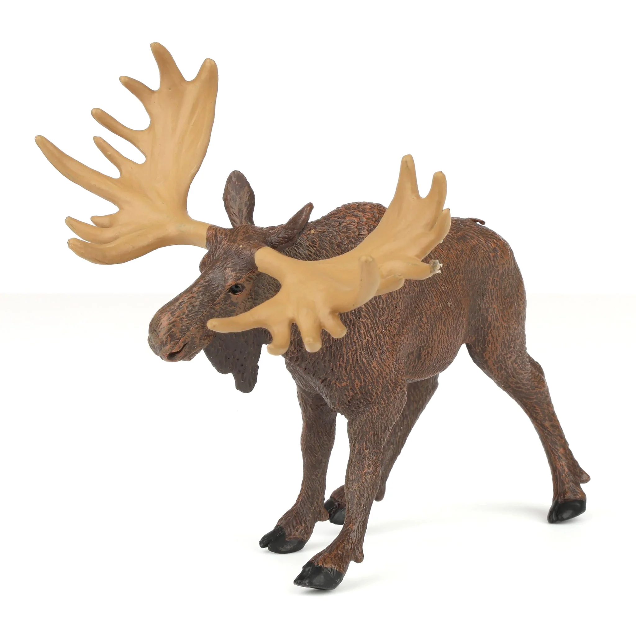Moose by Safari - Image 2
