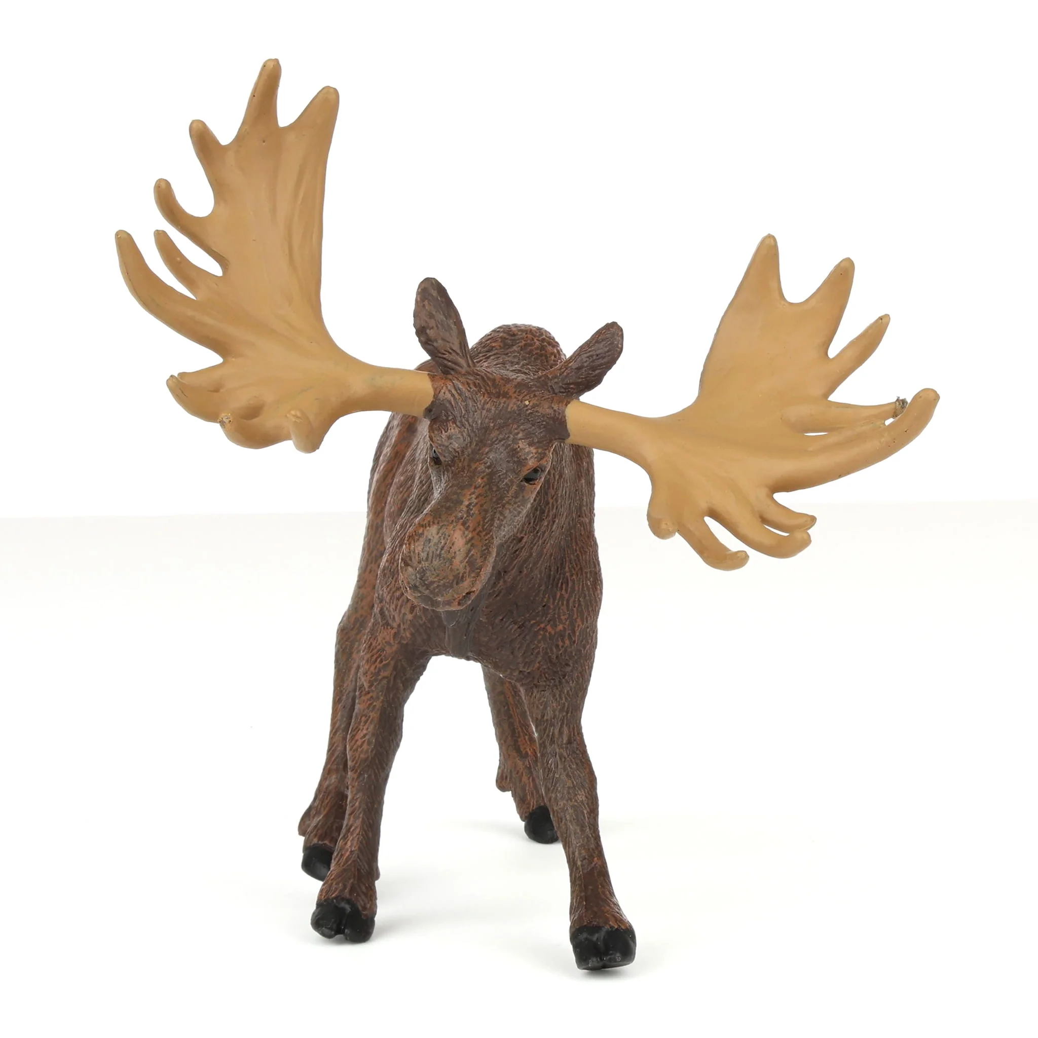 Moose by Safari - Image 5