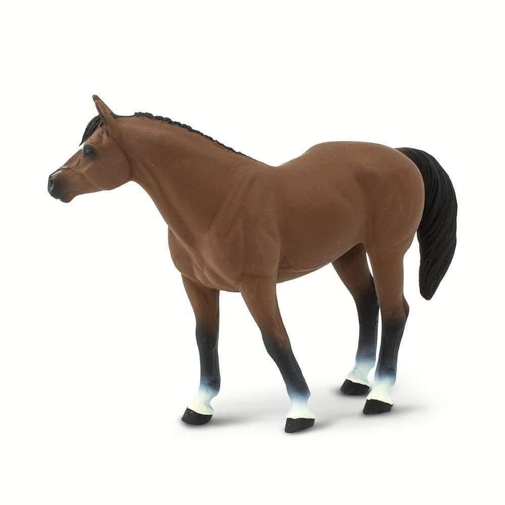 Quarter Horse Gelding by Safari - Image 2