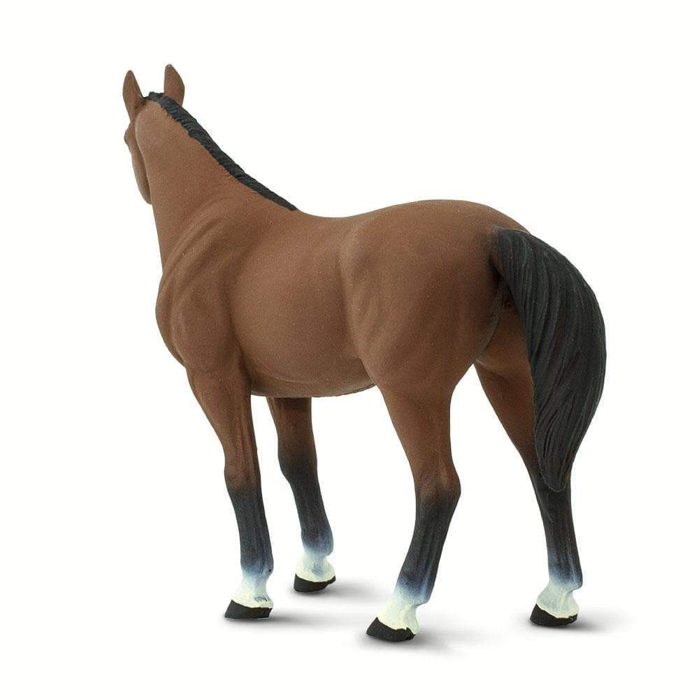 Quarter Horse Gelding by Safari - Image 3