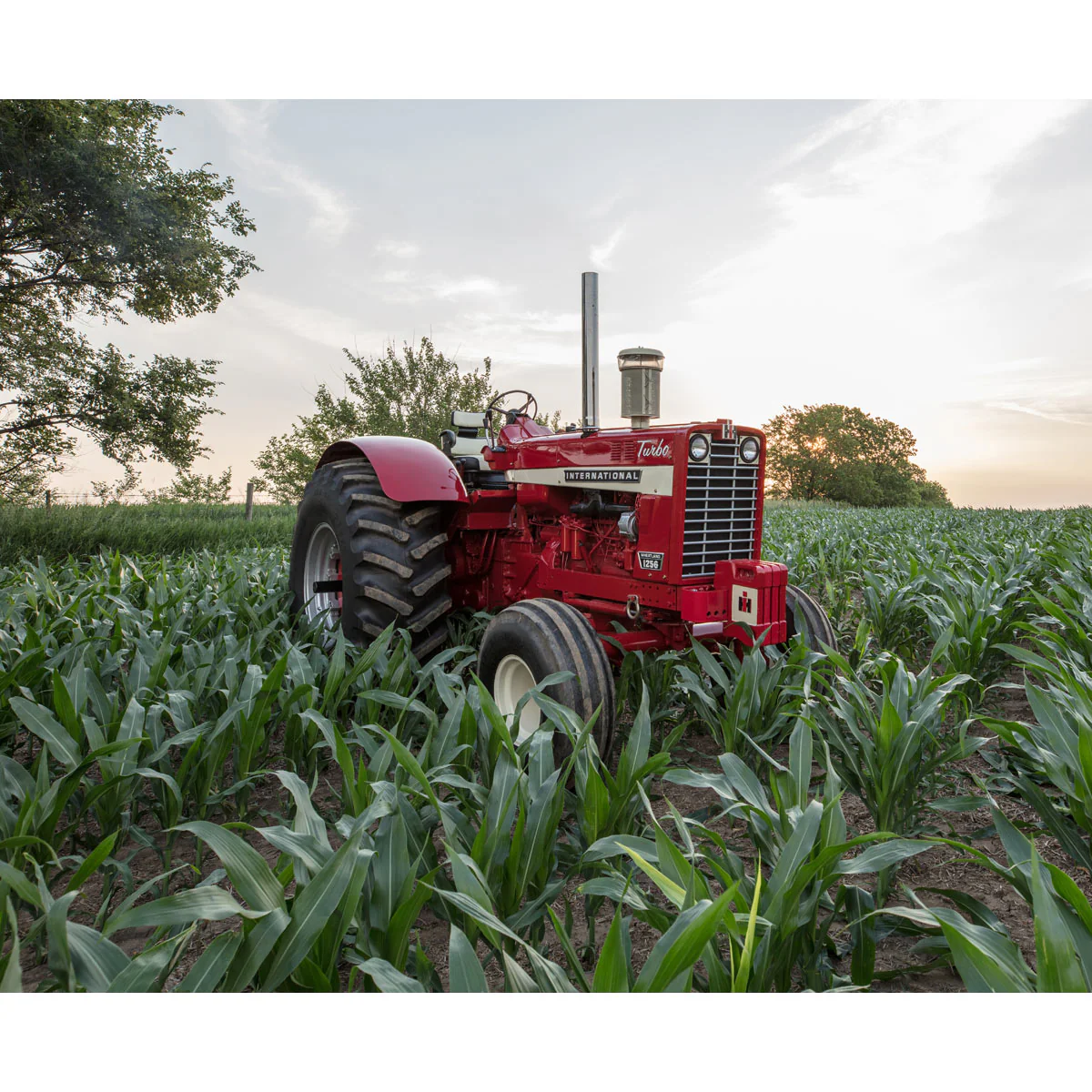 Red Tractors 1958-2022: The Authoritative Guide to International Harvester and Case IH Tractors - Image 4