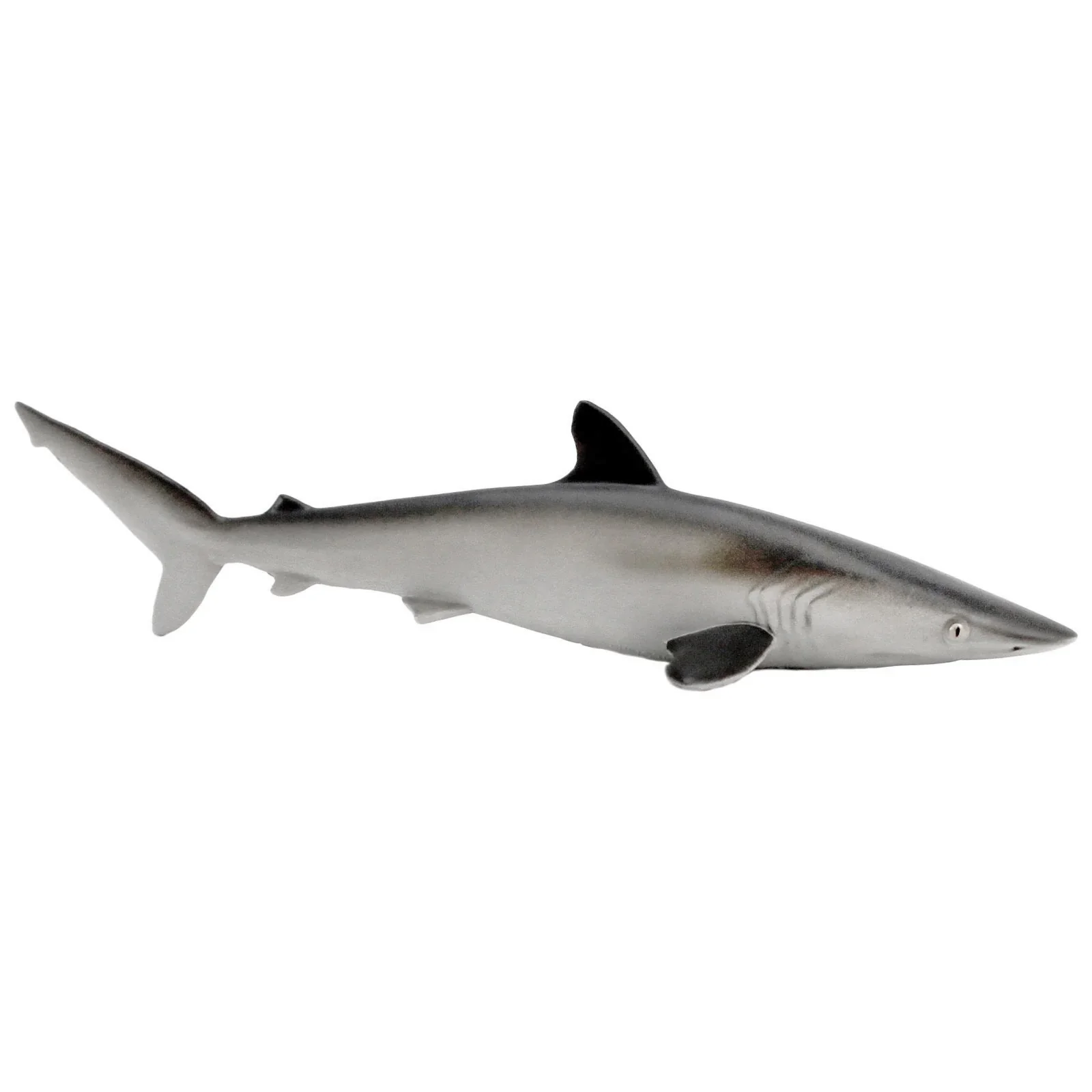 Silky Shark by Safari - Image 2