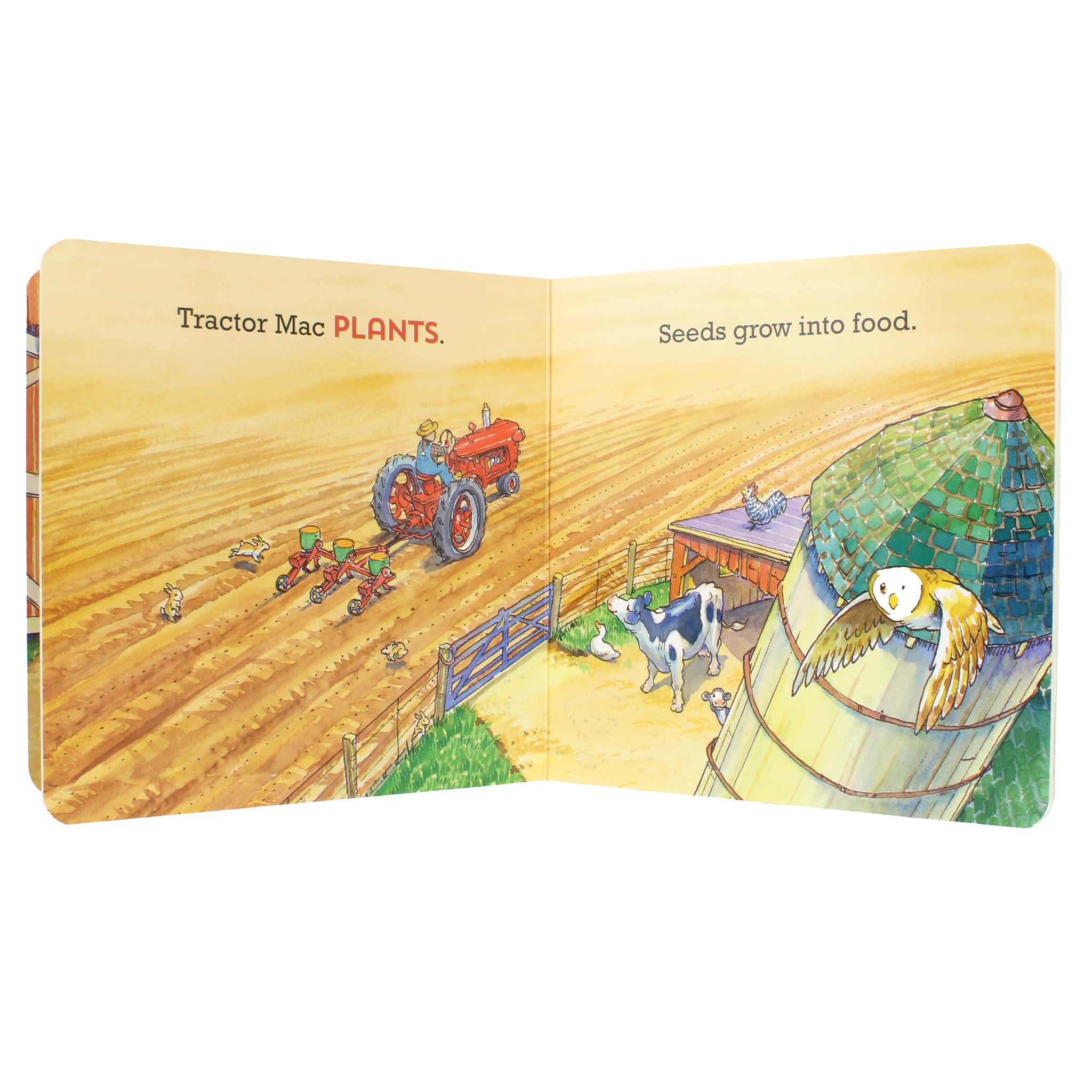 Tractor Mac "Farm Days" Board Book by Billy Steers - Image 3