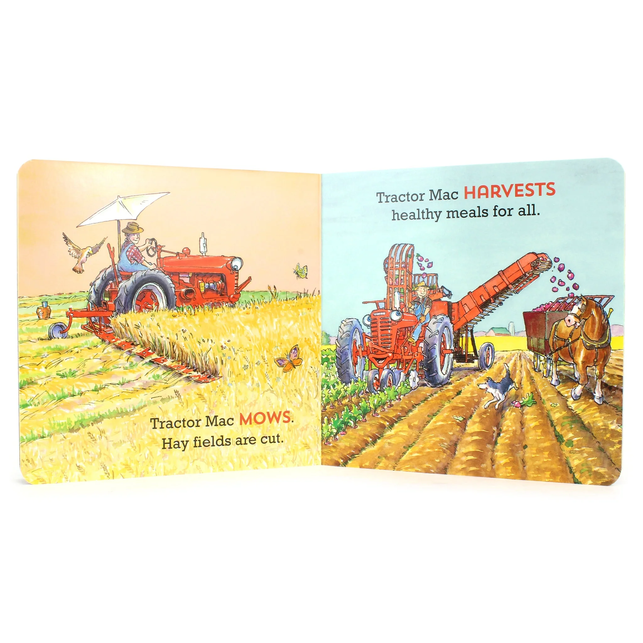 Tractor Mac "Farm Days" Board Book by Billy Steers - Image 4