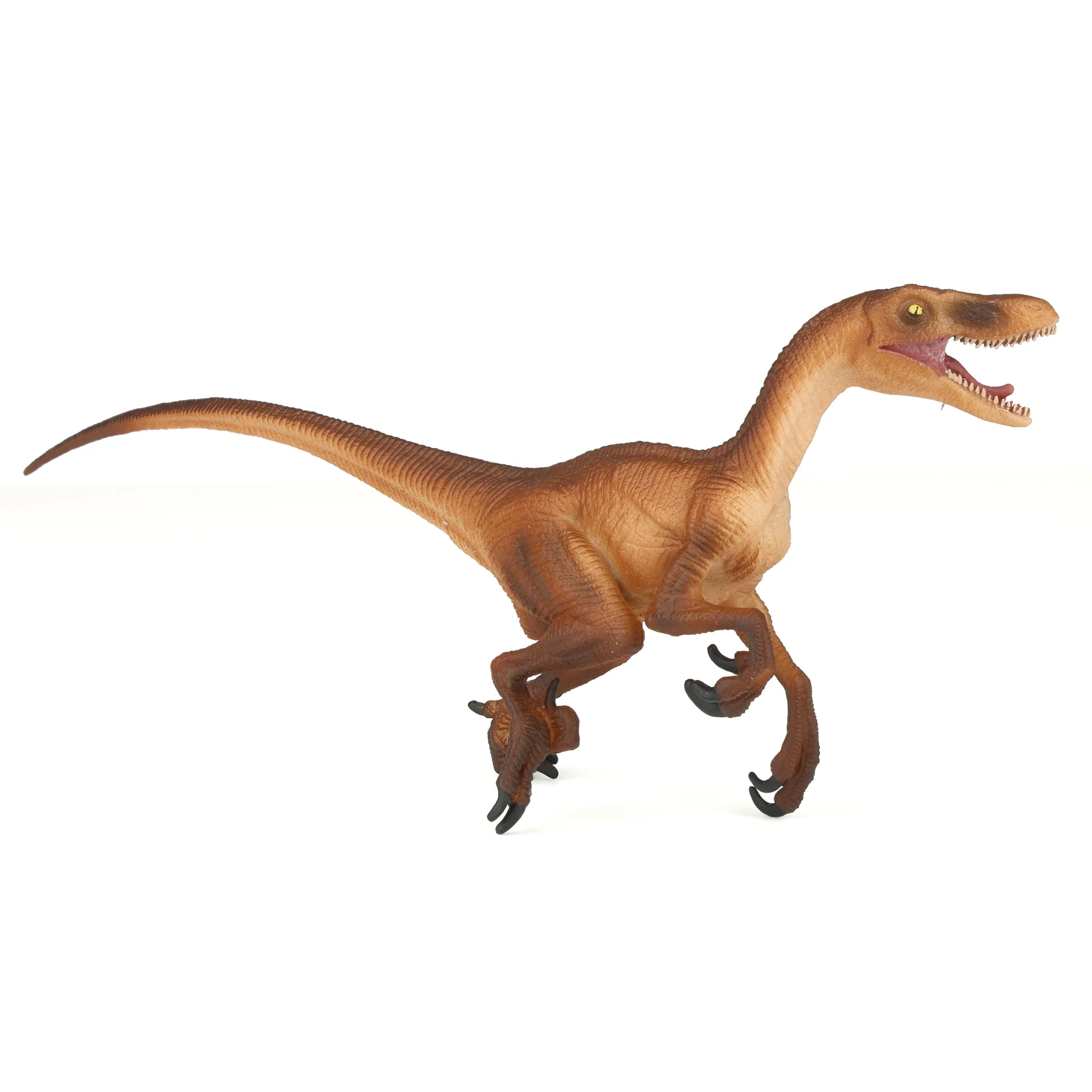 Velociraptor Dinosaur by Safari - Image 2