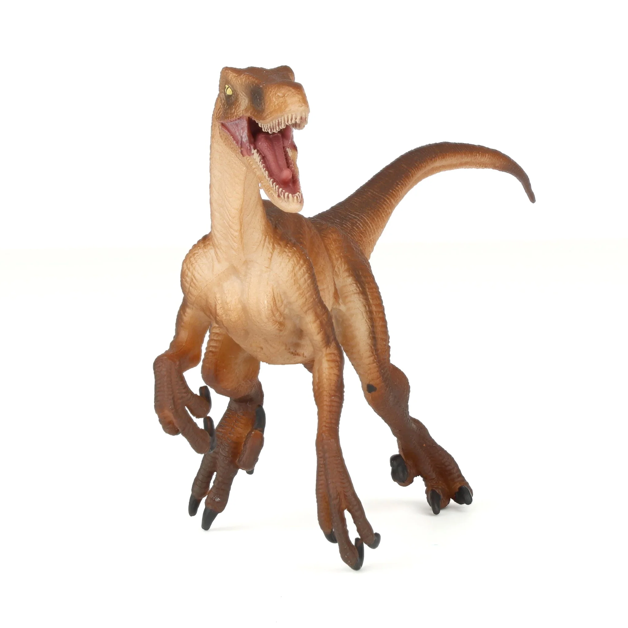 Velociraptor Dinosaur by Safari - Image 6