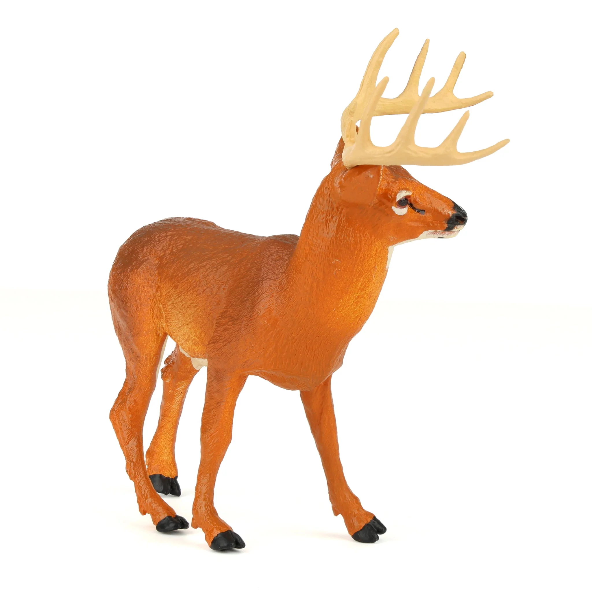 Whitetail Buck by Safari - Image 2