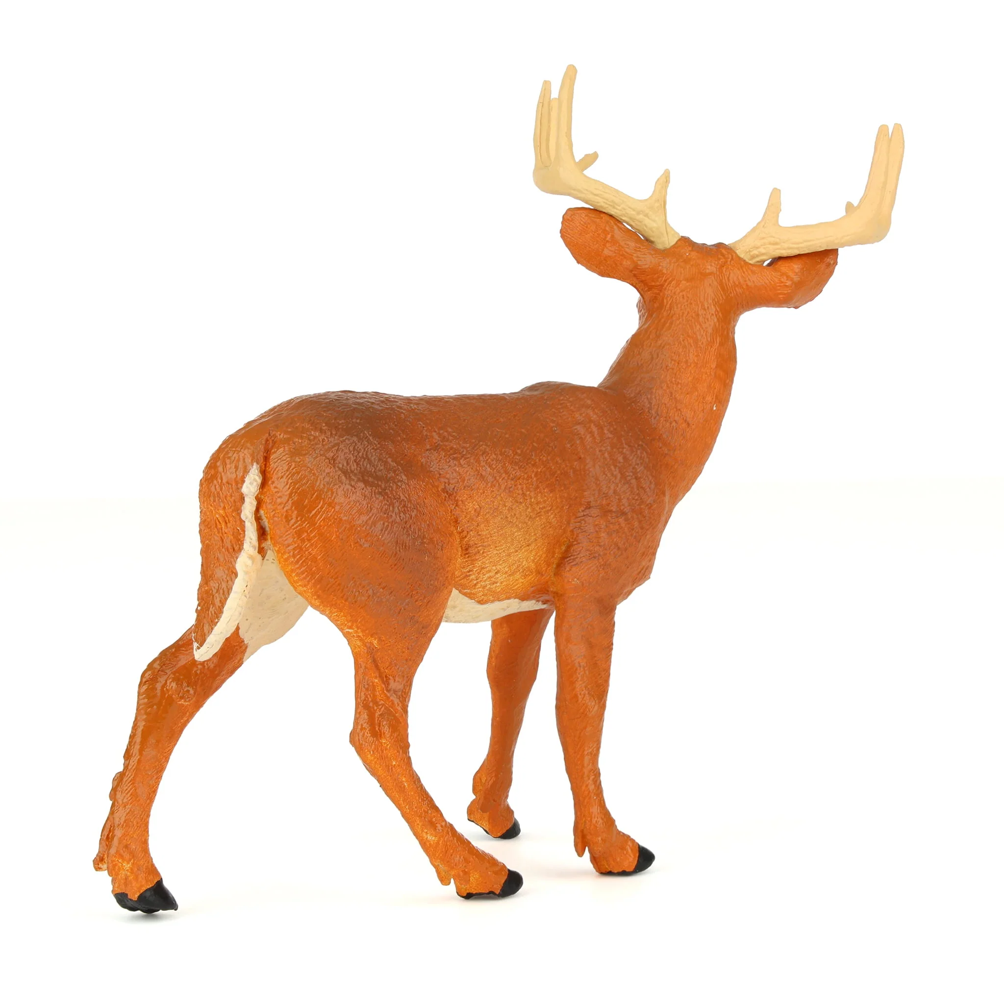 Whitetail Buck by Safari - Image 3
